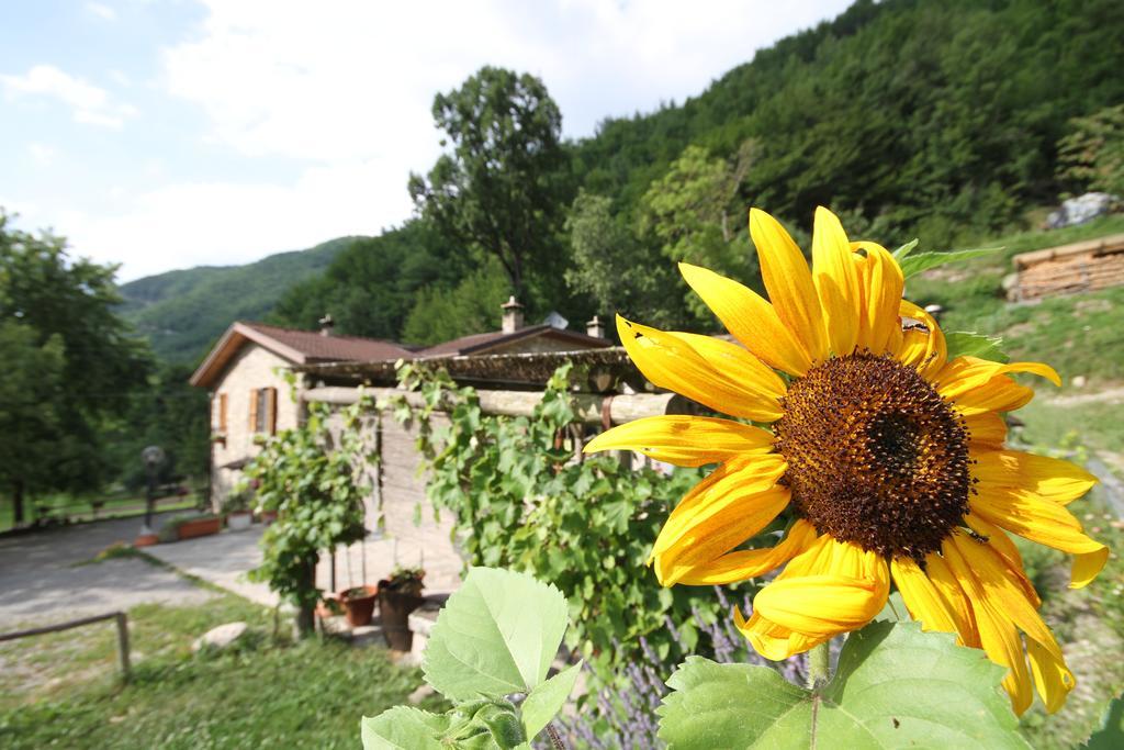Agriturismo Ca Sonino Bettola  Dış mekan fotoğraf